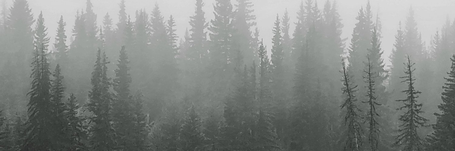 Dubnos_'s profile banner image