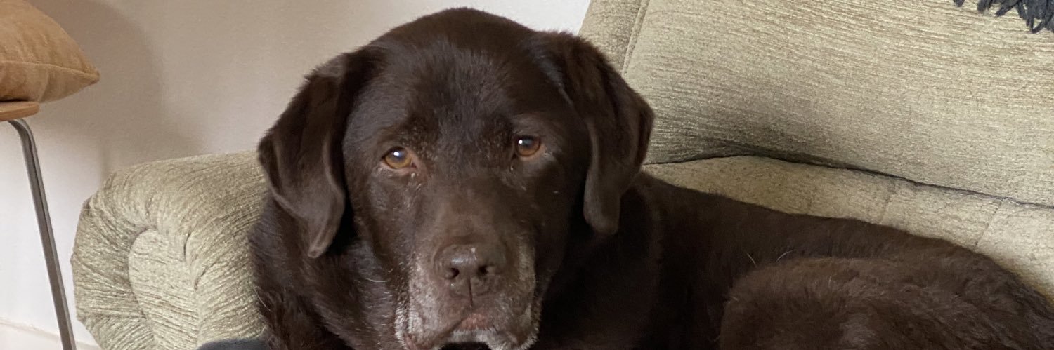 Maggie Ramage banner