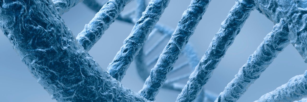 Stephane Budel banner