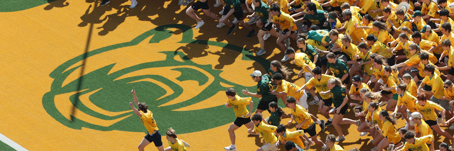 Baylor's profile banner image
