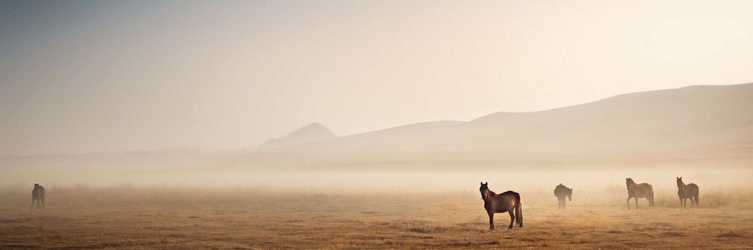 🍏ハッハッ🍏 banner