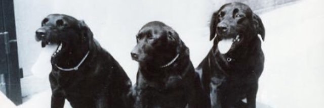 LRchaco's profile banner image