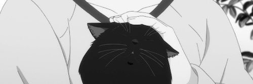 Nedomh's profile banner image