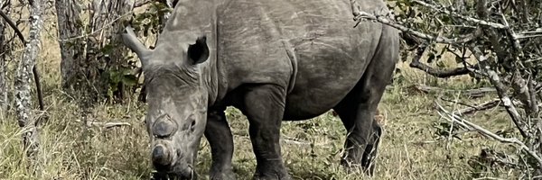 mikesisk Profile Banner
