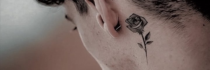 icarvsian's profile banner image