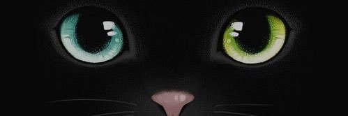 yolycaser's profile banner image