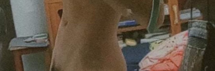 3u_49_ngxe's profile banner image