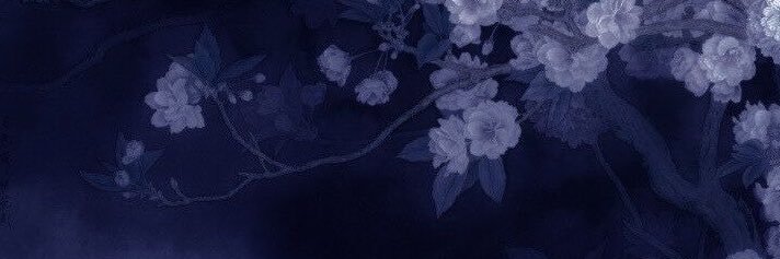 soraMinaTe's profile banner image