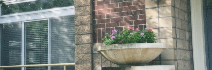 BettyThomalcg's profile banner image