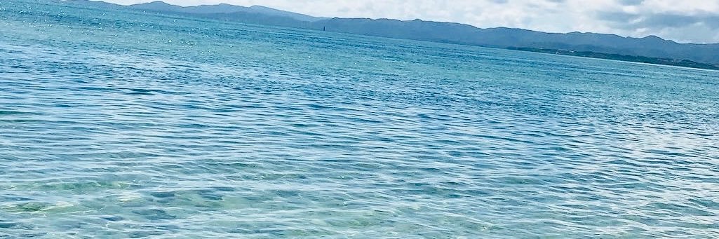 mama_ham14's profile banner image