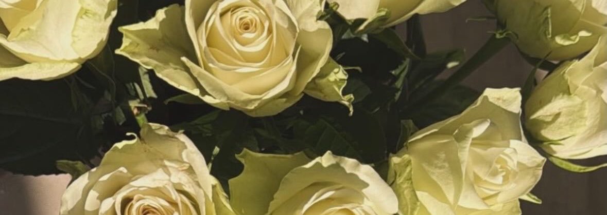 Cocoroseuk3's profile banner image