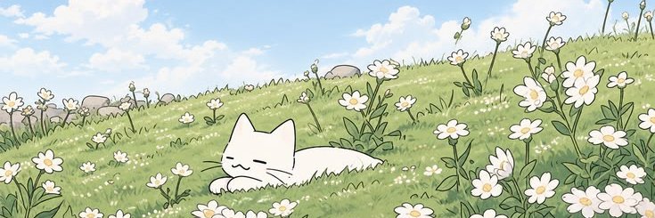 rahulxdevv's profile banner image