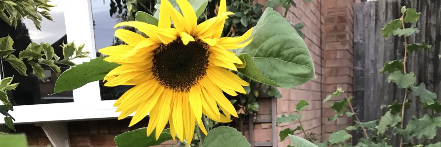 EllieMClarke's profile banner image