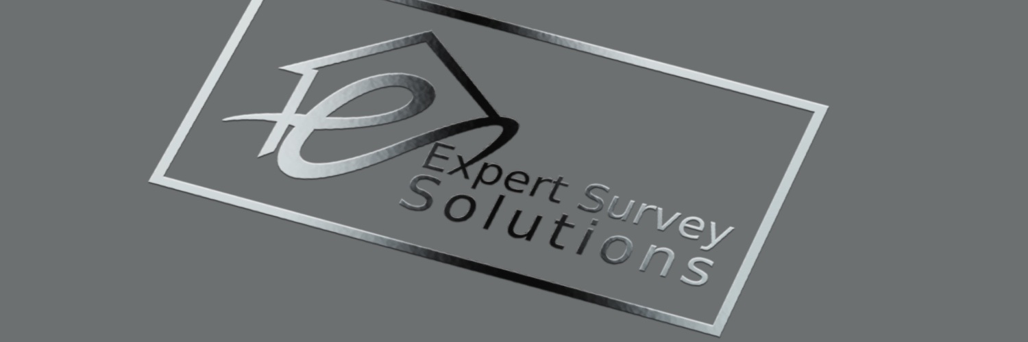 ExpertSurvSols's profile banner image