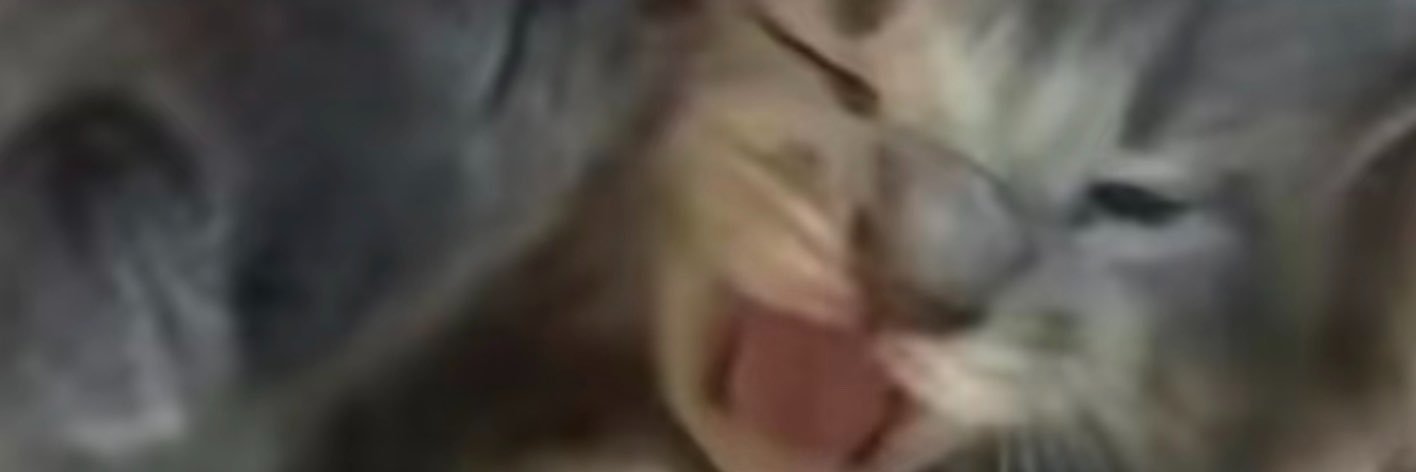 LEmonhhj's profile banner image