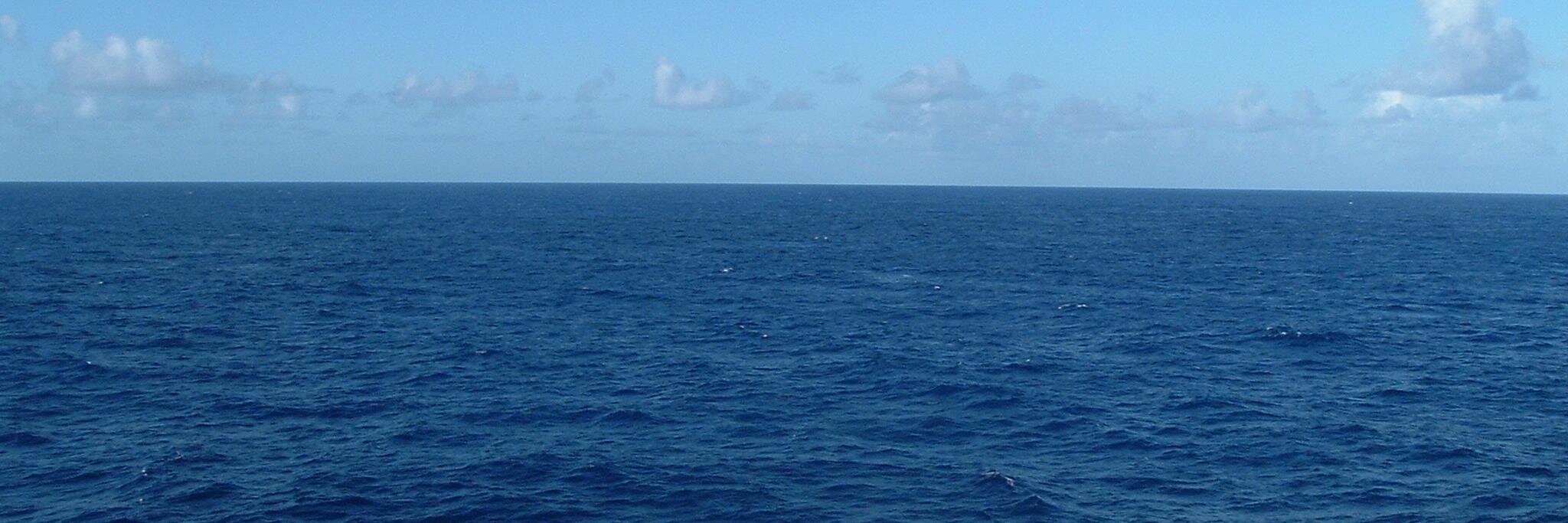 hollygriffith's profile banner image