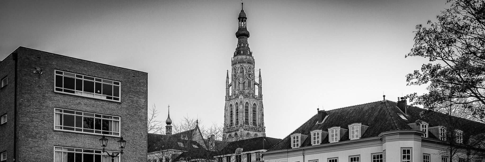 jovdbreda's profile banner image