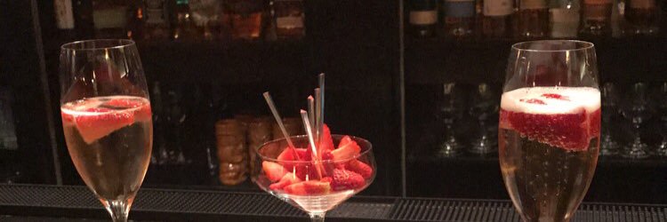 Lucy Jakubecz banner