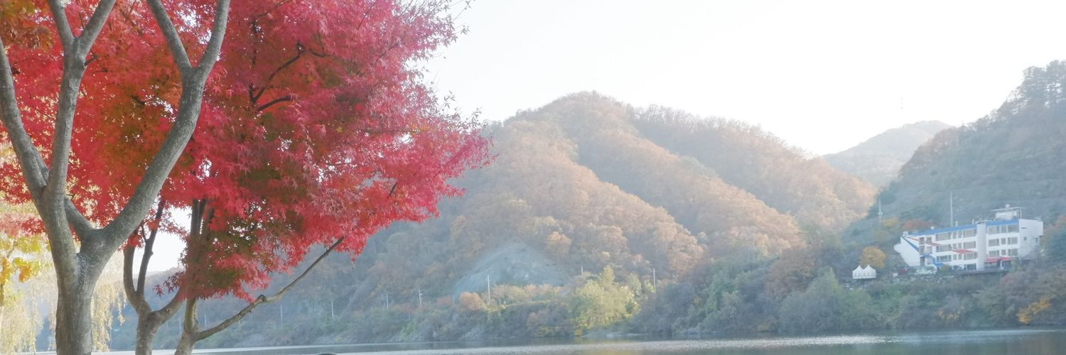 minghui88's profile banner image