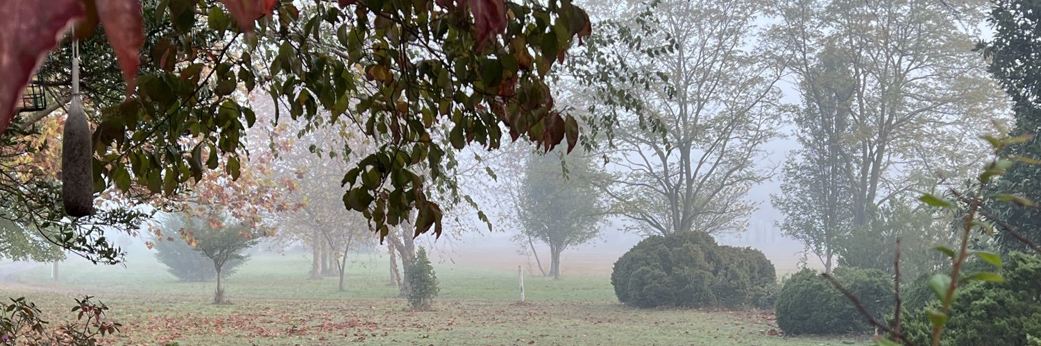 Robert Elsaid banner