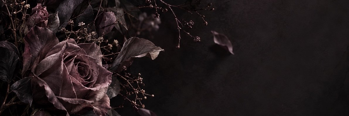 _knum7's profile banner image