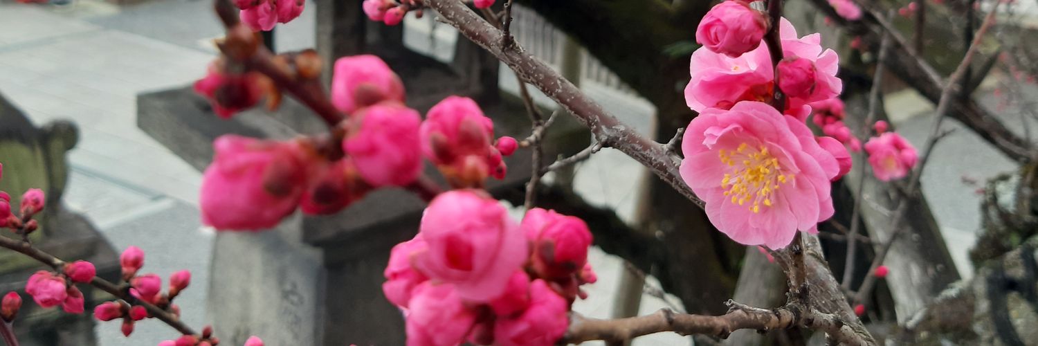 Temen TK Sungjin 🐻🍀 banner