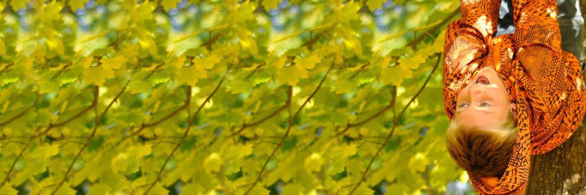 TCdeMooij's profile banner image
