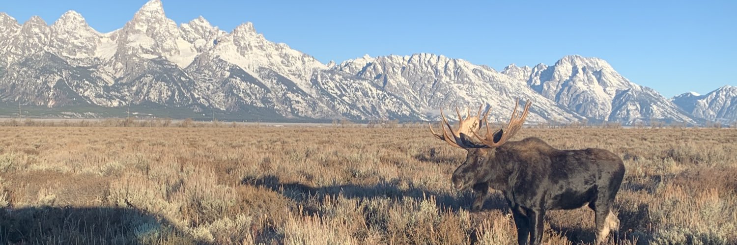 Jessica Chambers MD MPH FHM FACP🫀 banner