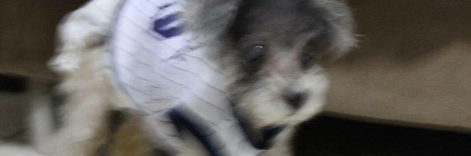 91p_p's profile banner image