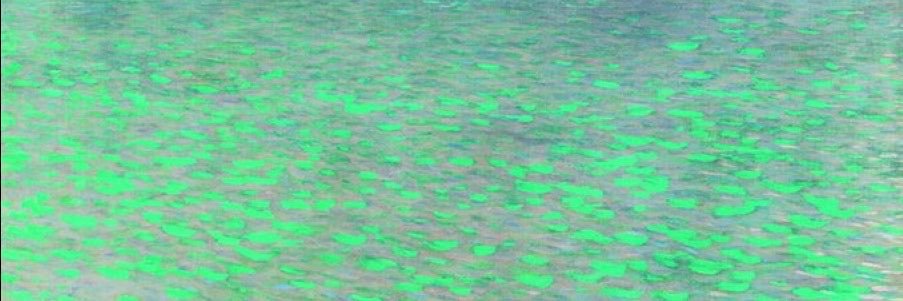 Hunterinaz's profile banner image