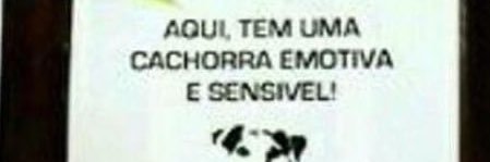 sofá de costas banner