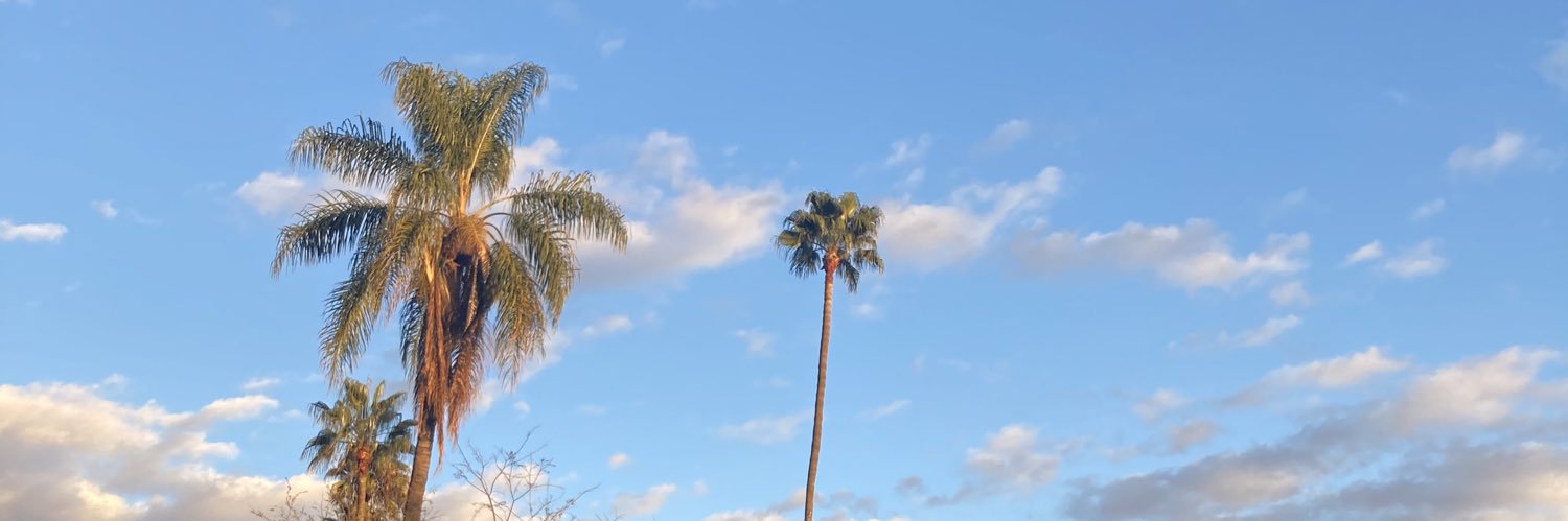 wildaweed's profile banner image