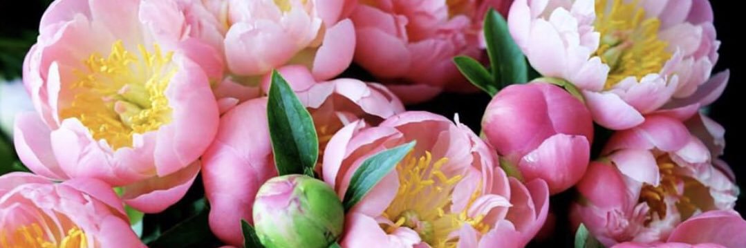 Laura Markunas banner