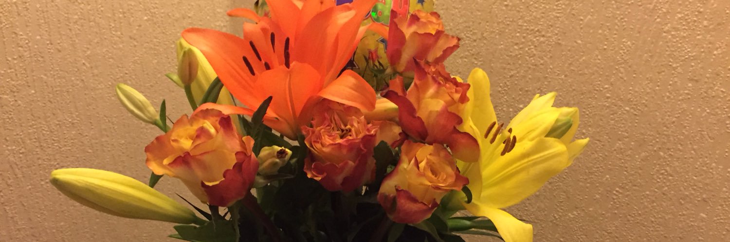 CarolineAY's profile banner image