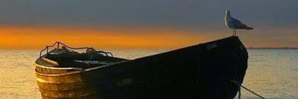 JimAlbany Profile Banner