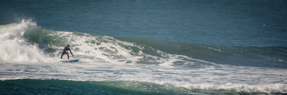 cacogal's profile banner image