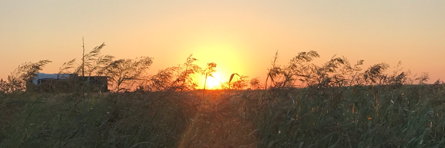 B_Sutton912's profile banner image