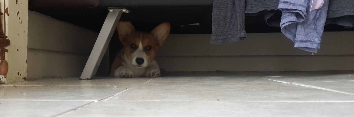 maiz0r's profile banner image