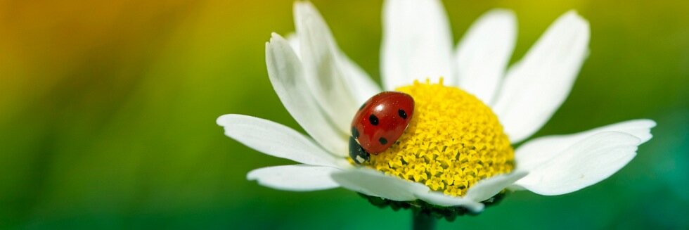 TWCFertility's profile banner image