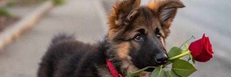 Emiliaarn2's profile banner image
