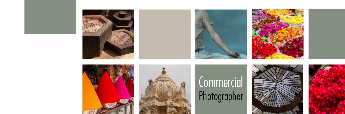 Jeffrey Ross Photo banner