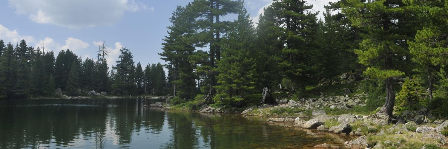damirpetkovski's profile banner image