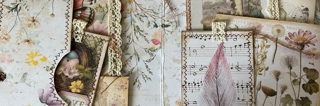 Debbie  Zagarit banner