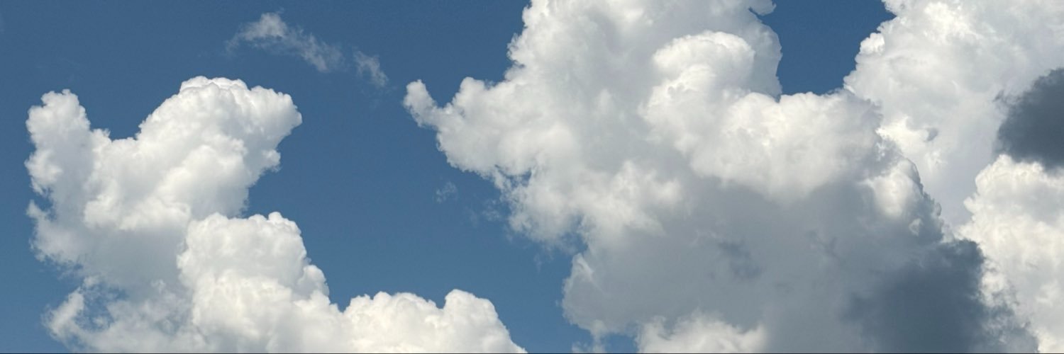 princeofallag's profile banner image