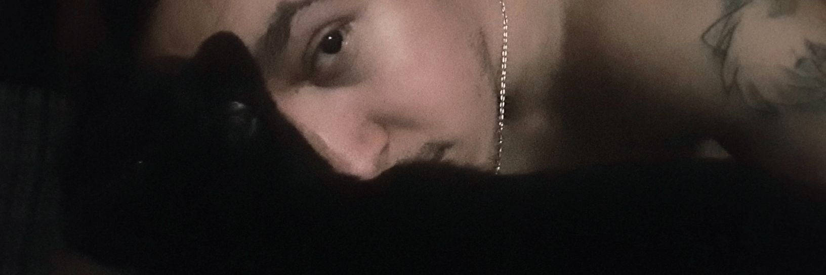 LpAry's profile banner image