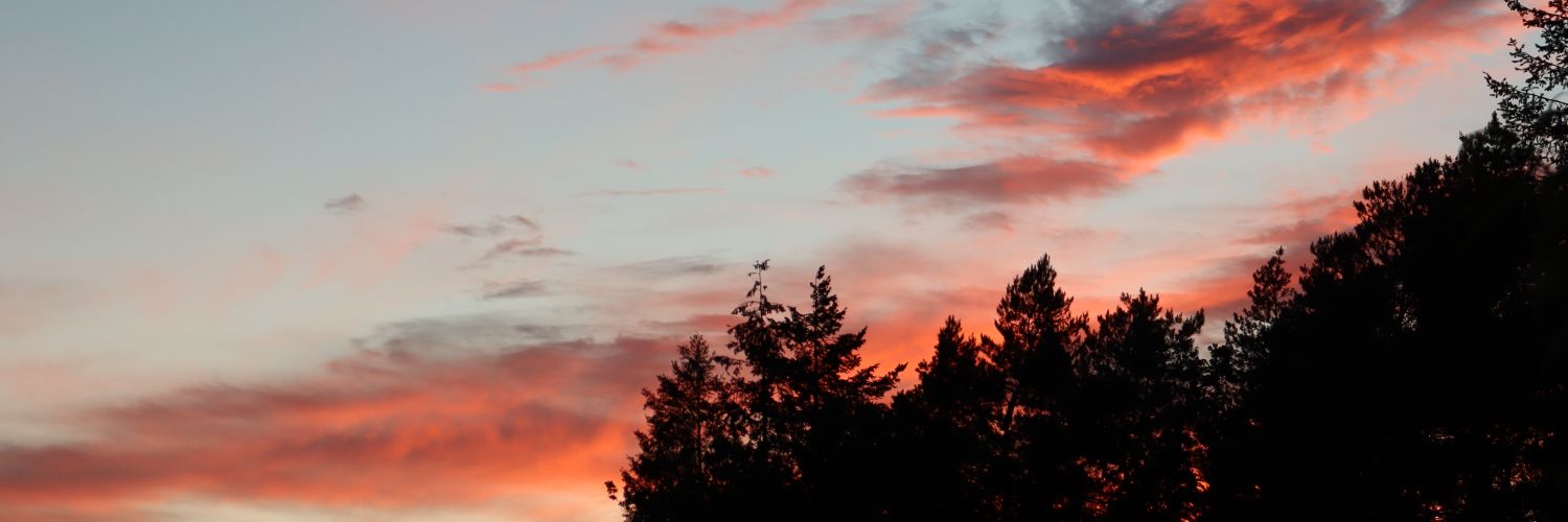 JanPhEichner's profile banner image