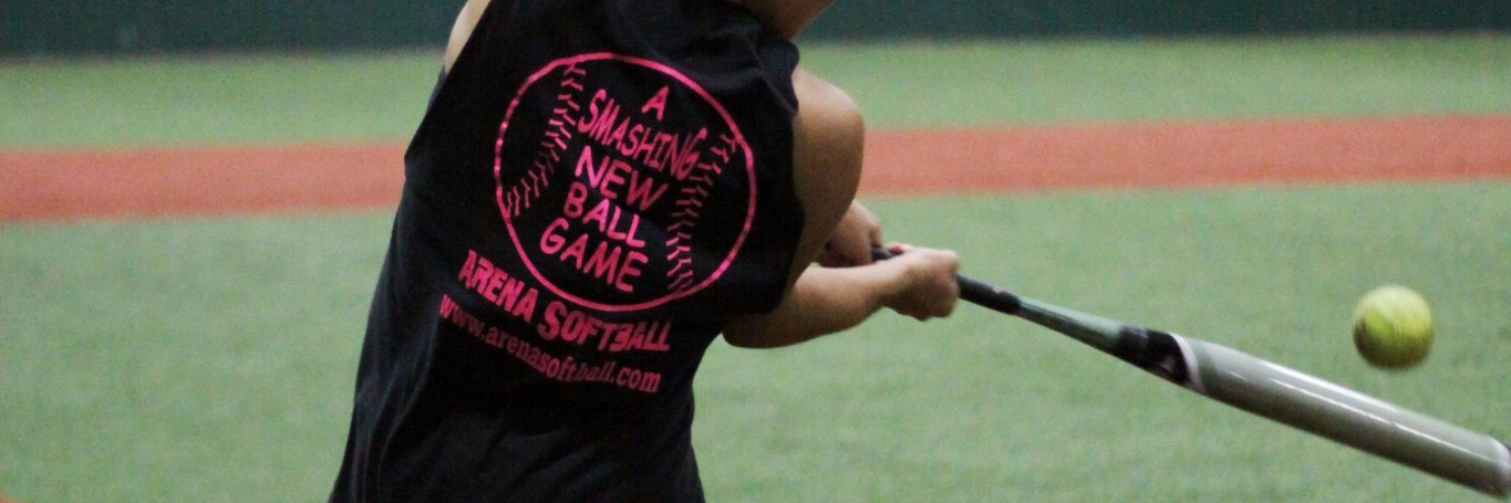 ArenaSoftball's profile banner image