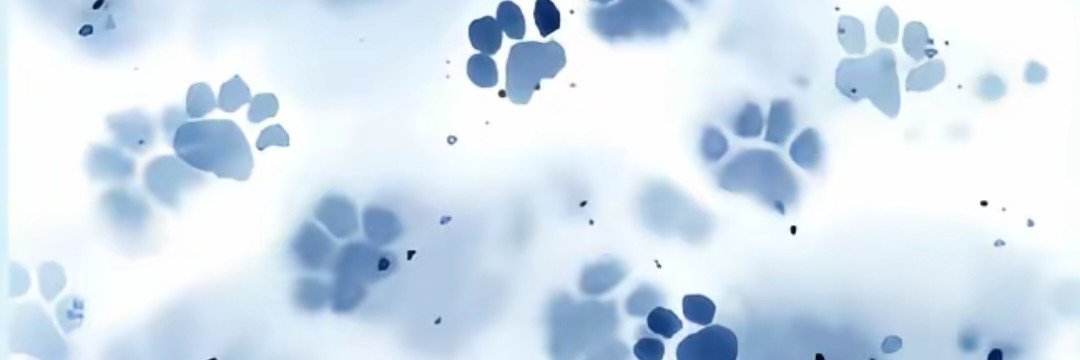 yiuaaa7's profile banner image