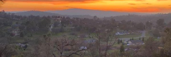 JulieCollura Profile Banner