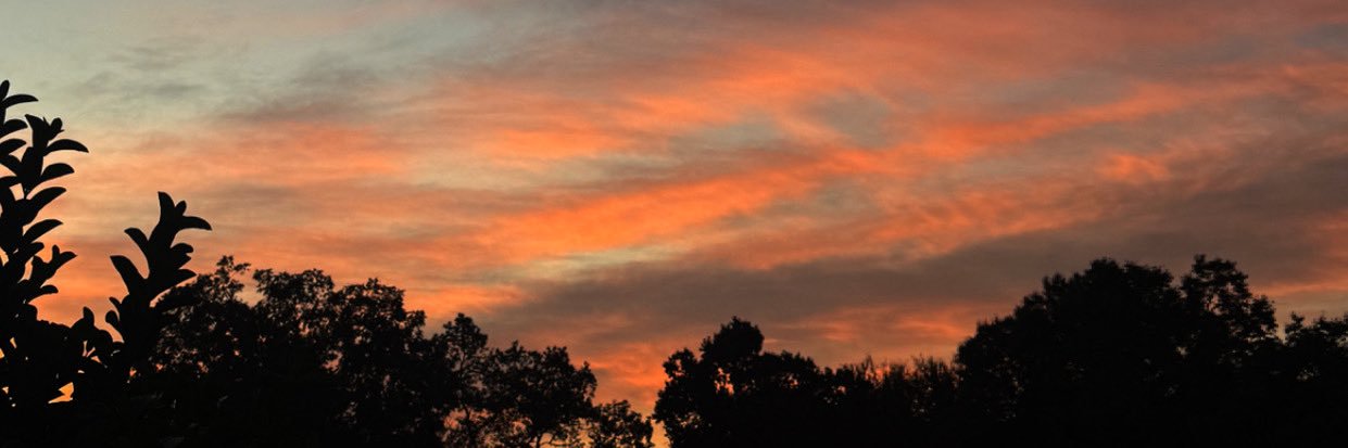 lyssaslore's profile banner image